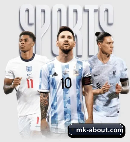 五大服务分区,信息按项目分类