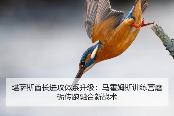 堪萨斯酋长进攻体系升级：马霍姆斯训练营磨砺传跑融合新战术